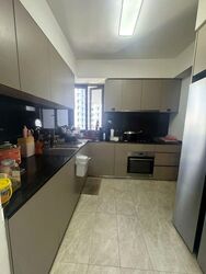 The Florence Residences (D19), Apartment #495866141